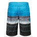 Mens Stripes Quick Dry Swim Trunks Board Shorts